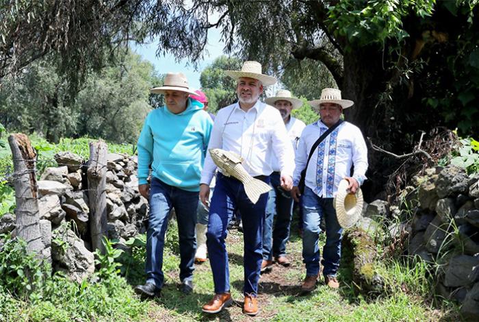 Para proteger al campo, Bedolla envía a Sheinbaum propuesta de precios justos del maíz