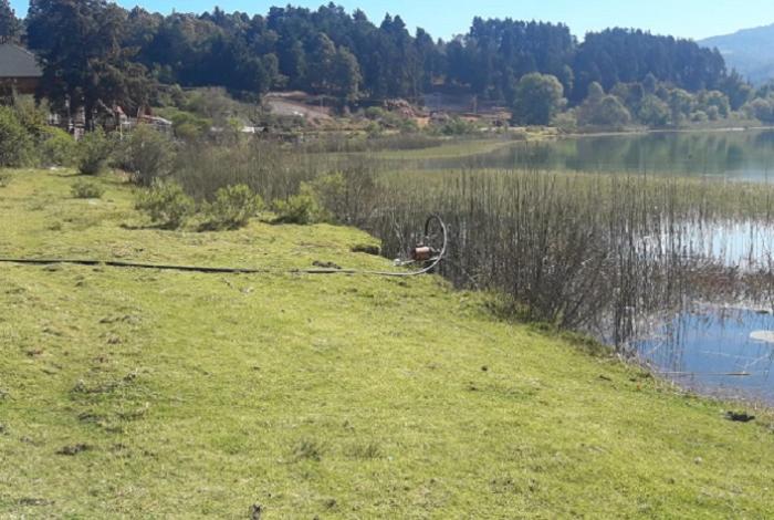 Para regar aguacate y berries roban agua con pipas y bombas del Lago de Zirahuén; denuncian intentos de despojos