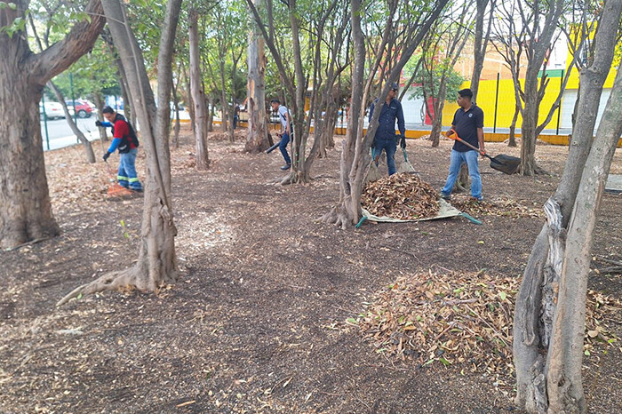 Personal municipal realiza jornada de limpieza integral en la colonia Cosmos