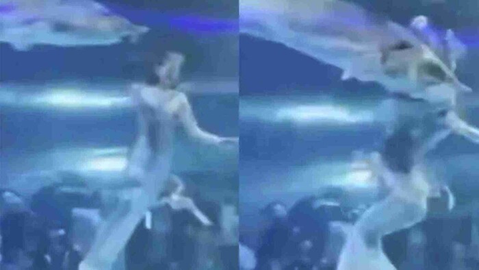 Pez gigante ataca a actriz de sirena en acuario de China