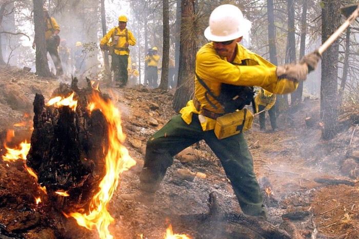 Piden donación de víveres para brigadistas que apagan los incendios en Morelia