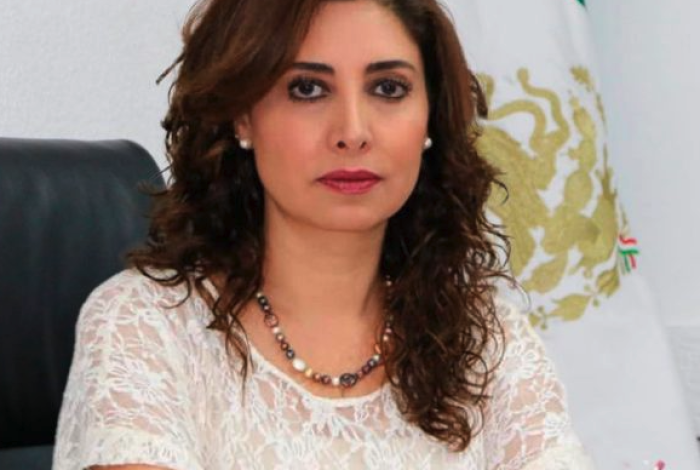 Plan B para la reforma electoral. El análisis de la Dra. Yurisha Andrade Morales