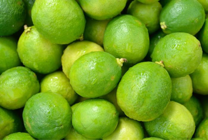 Plan Michoacán destina 720 mdp para apoyo a productores de cítricos en Tierra Caliente: Sader