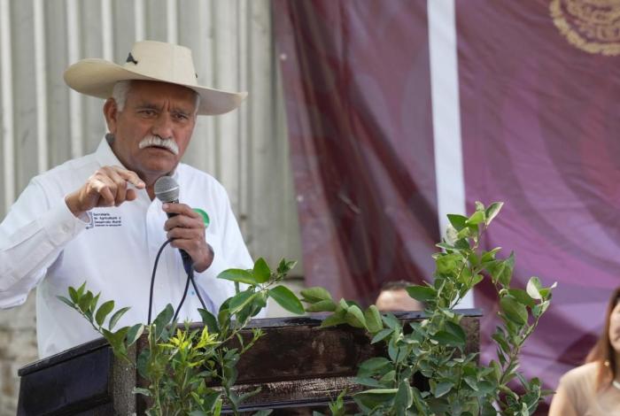 Plan Michoacán: Productores de limón recibirán 150 mil plantas certificadas este año: Sader
