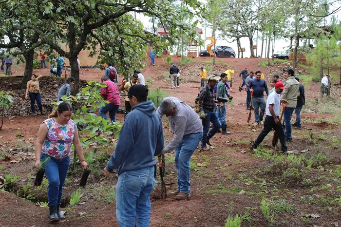 Plantarán 10 mil árboles en Área Natural Protegida Mesa de Tzitzio