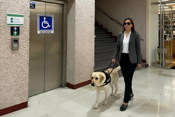 Poder Judicial abre sus puertas a animales de servicio, asistencia y/o terapia
