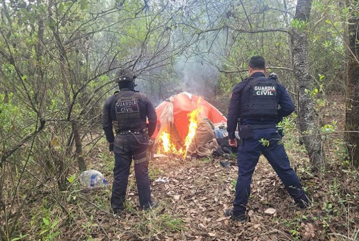 Policías destruyen narcocampamento en la región de Pátzcuaro