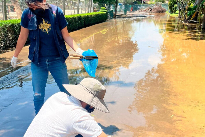 Por daños al Zoológico de medio mdp, interponen denuncia contra funcionarios del OOAPAS