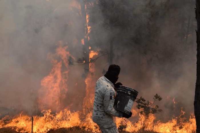 Por incendios forestales, piden emitir Declaratoria de Desastre Natural a través de Change