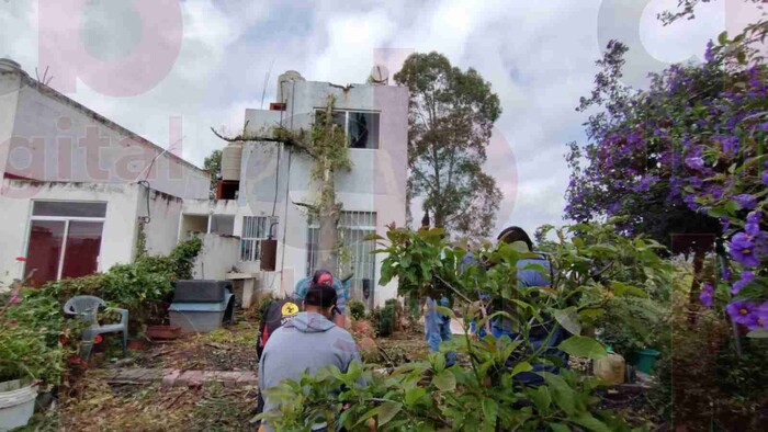 Por intensos vientos y lluvias, cae árbol en una vivienda y deja grandes daños