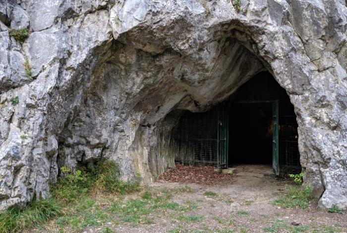 ¿Por qué se extinguieron? El ADN neandertal tumba la teoría de la endogamia
