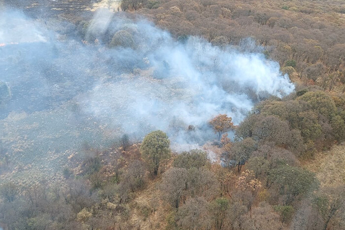 Por tierra y aire se combate incendio forestal en el cerro del Águila