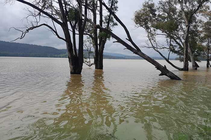 Presa de Cointzio reanuda hoy desfogues a las 21:00 horas; está al 98.3 % de capacidad