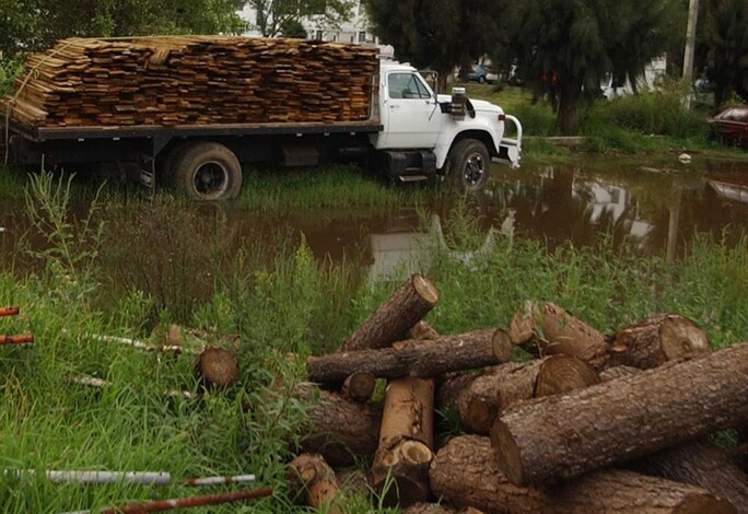 Presentadas 327 denuncias por delitos ambientales; listas otras 1,500: Secma