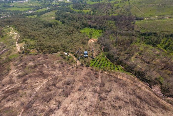 Prevaricación verde