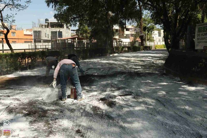 Previene Zoo de Morelia riesgo sanitario por inundación con lodos; se realizó encalado