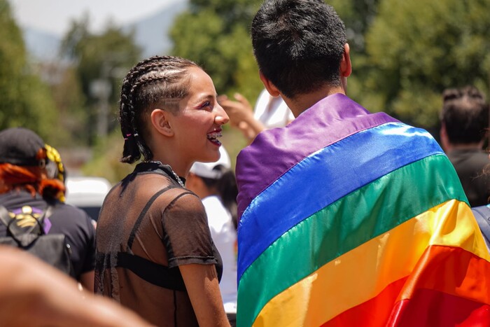 PRI pide respeto a la vida privada para no transparentar candidatos LGBT