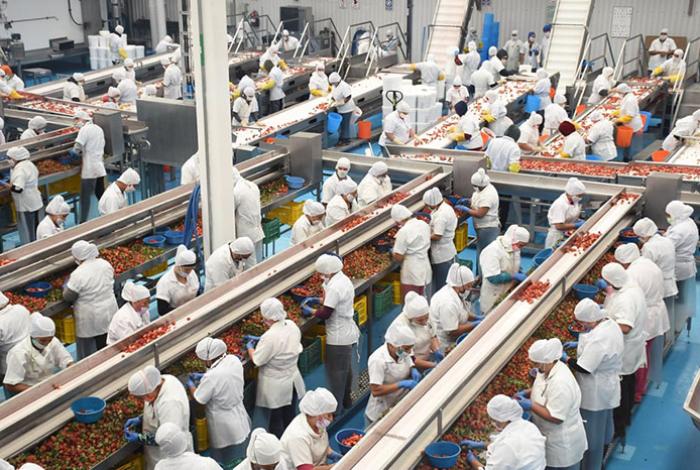 Producción industrial de México cayó 0,8 % anual en noviembre, pese a repunte mensual