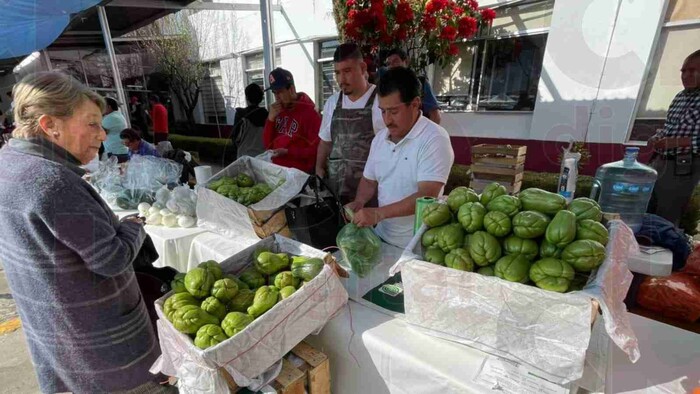 Productores agrícolas de Michoacán se vieron afectados ese año por las condiciones del clima