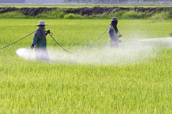 Productores agrícolas denuncian secuestro de agua en distritos de riego