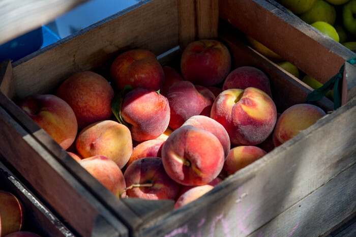 Productores de durazno y ciruela de Zinapécuaro buscan crear valor agregado en la producción frutal