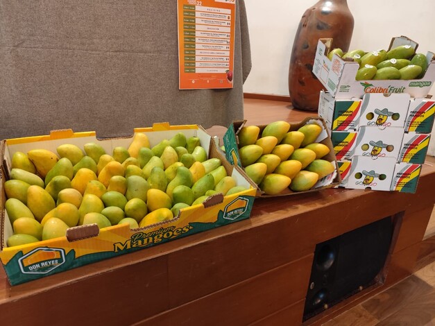 Productores de mango denuncian precios bajos y piden apoyo