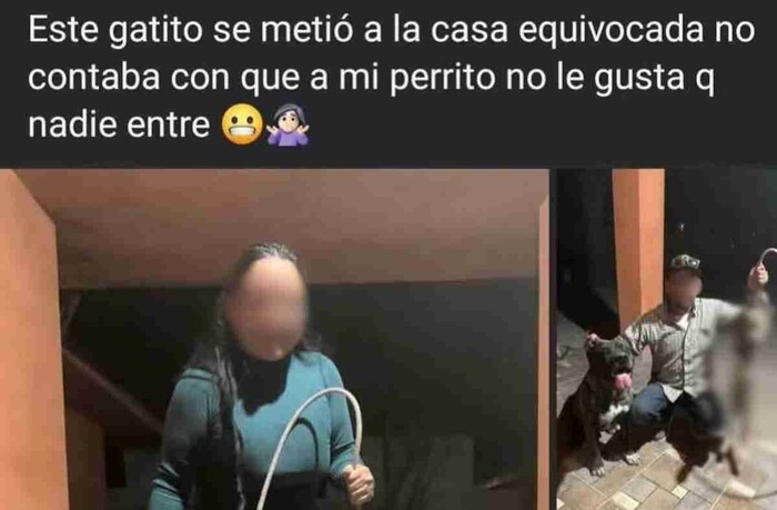 Profepa busca a pareja que exhibió a Ocelote muerto en redes sociales