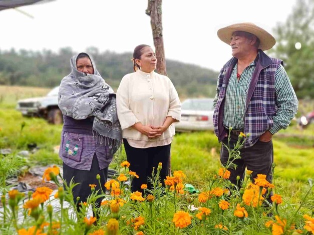 Promueve Gobierno de Quiroga el consumo de cempasúchil del programa Sembrando Vida