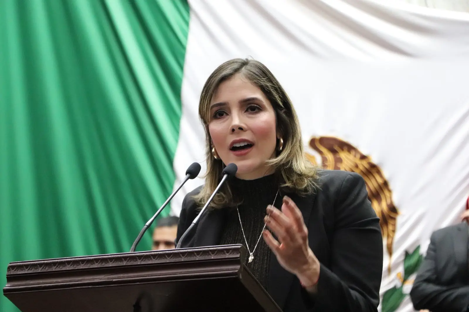 Propone Brissa Arroyo crear un Consejo Ciudadano Legislativo