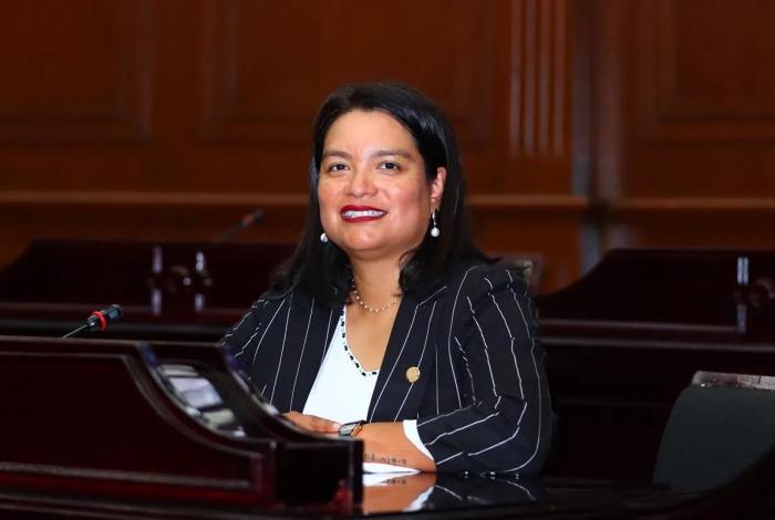 Propone diputada Érendira Isauro sancionar usurpación de identidad de género en candidaturas