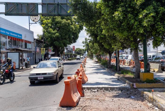 Proyecto Morebús impulsa reforestación urbana