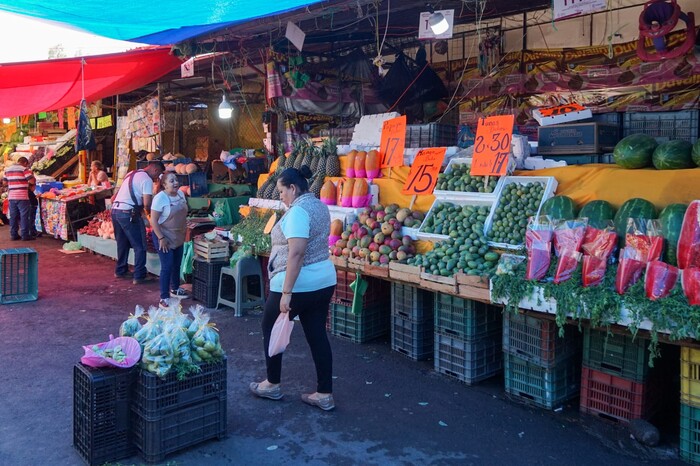 Quieren abrir 2 tianguis más en Morelia