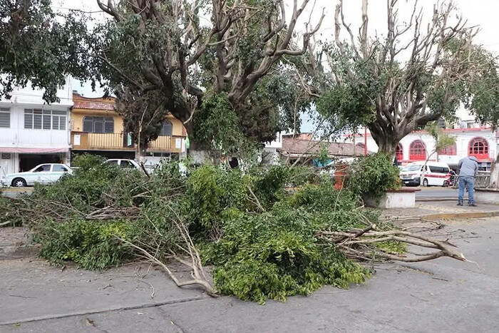 Quiroga apuesta por un futuro mas verde y saludable: Alma Mireya González