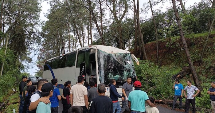 Árbol cae sobre autobús de turismo en la Uruapan-Pátzcuaro; hay dos lesionados graves