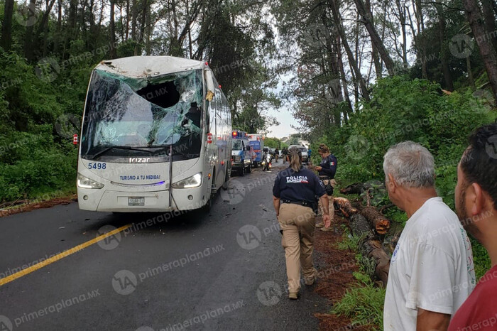 Árbol cae sobre autobús turístico en la Uruapan-Pátzcuaro