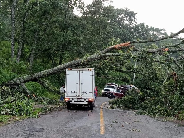 Árbol cae sobre la carretera Morelia – Mil cumbres