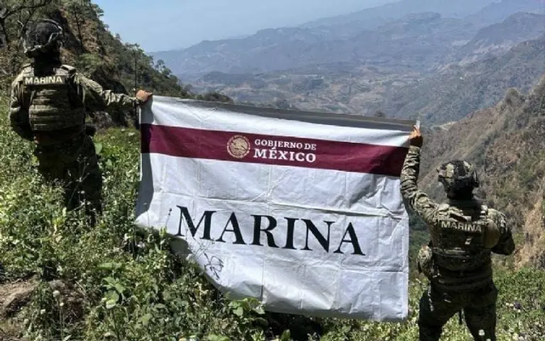 Realiza Marina la destrucción de 3 millones de plantas de amapola en Nayarit