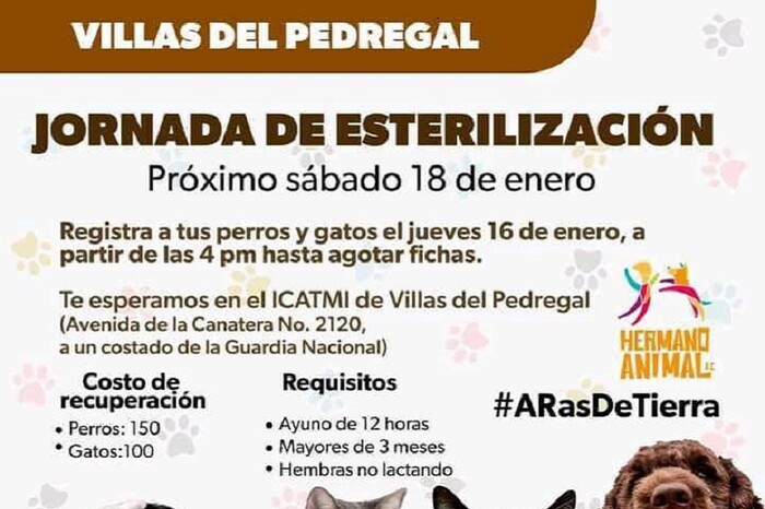 Realizarán la primera Feria de Esterilización 2025 en Morelia