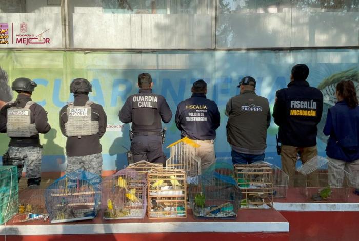 Recibe Zoológico de Morelia 83 aves aseguradas por Profepa