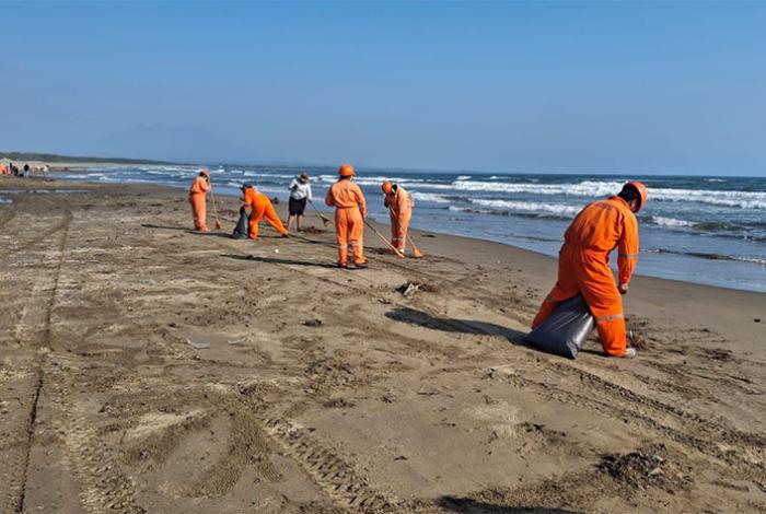 Recogen 889.4 toneladas de hidrocarburo en 48 playas del Golfo de México tras emanaciones