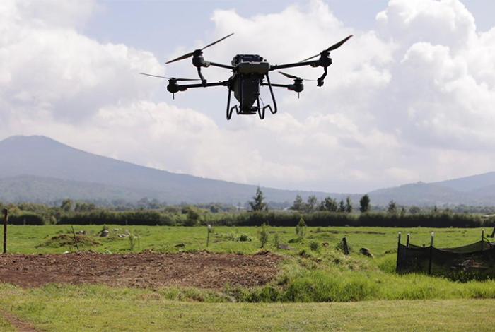 Reforestación con drones supera meta de 250 mil semillas sembradas: Bedolla