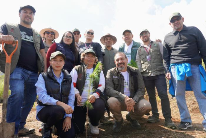Reforestación en Michoacán, clave para la recuperación de ecosistemas y recursos hídricos