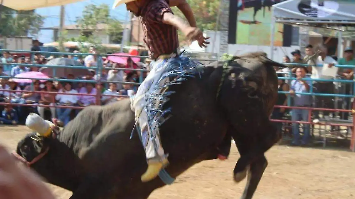 Regidor de Toluca buscará prohibir los eventos “tradicionales” con maltrato animal