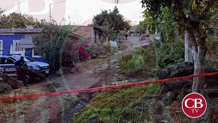 Reportan a 5 personas asesinan en Zamora