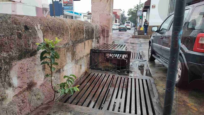 Reportan olores desagradables en alcantarilla sobre Madero Oriente