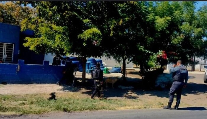 Reportan segundo ataque armado contra caseta policial en Buenavista este mes