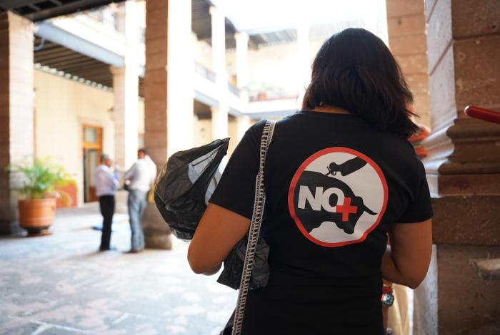 Repudio total a corridas de toros: activistas exigen aplicar la ley