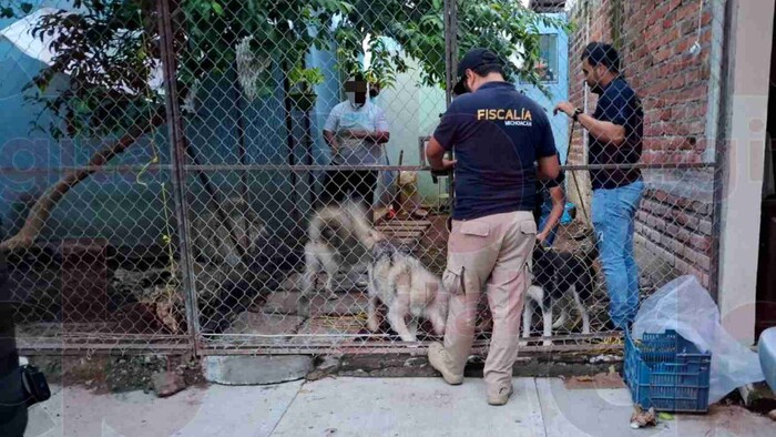 Rescata FGE cinco lomitos maltratados en Apatzingán