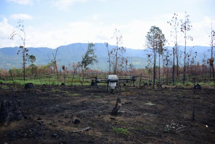 Rescatan 26 has forestales en cinco municipios michoacanos