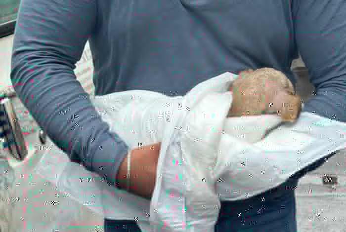 Rescatan a cachorro que fue dejado en una camioneta, en Morelia